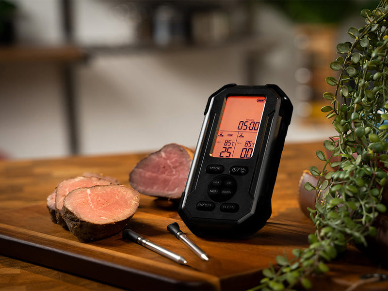 TERMOMETRO WIRELESS PER CARNE